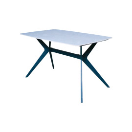 MAARK MARBLE TOP 4 SEATER DINING SET T06-C06 HT