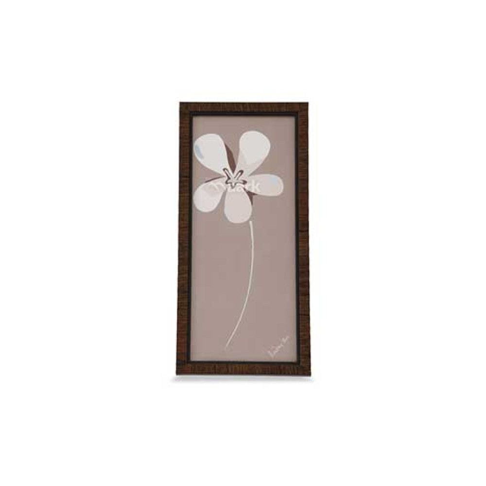 FRAME LIGHT CLR