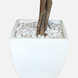 MAARK ARTIFICIAL PLANT